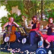 Clases de violín. Profesora con título de grado superior